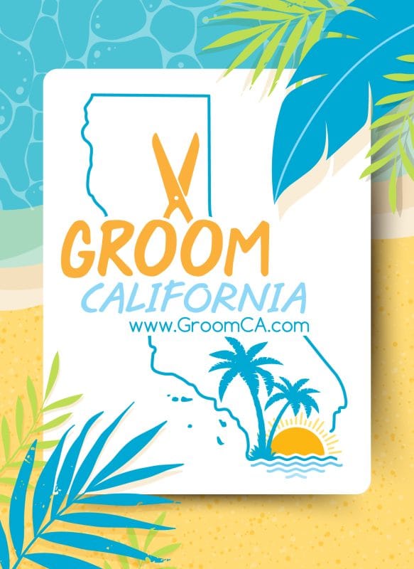Tropical-inspired Groom California logo design featuring the outline of California with scissors, palm trees, ocean waves, and sunset imagery in bright blue and yellow tones.