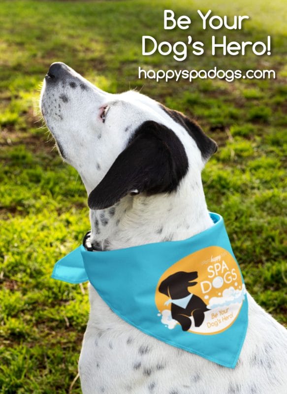 Dog wearing a blue bandana with the Happy Spa Dogs logo, outdoors on grass with text reading “Be Your Dog’s Hero” and website happypadogs.com
