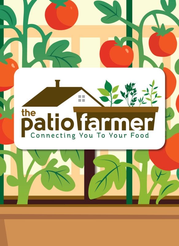 Custom logo design for The Patio Farmer featuring a cozy home, raised garden bed, and growing vegetables to represent patio gardening, homesteading, and sustainable living.